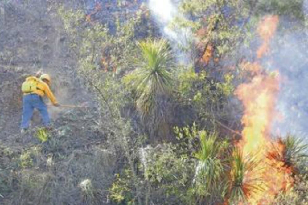 Controlan al 80% fuego en San Joaquín