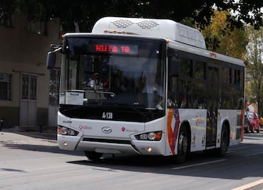 “Orugas” no son aptas para avenida Universidad: FDS 
