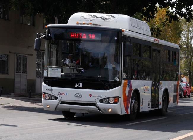 “Orugas” no son aptas para avenida Universidad: FDS