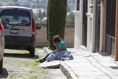 Ataque de abejas deja 4 heridos