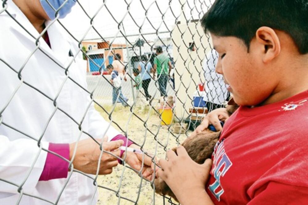 Invitan a proteger a mascotas con vacuna antirrábica