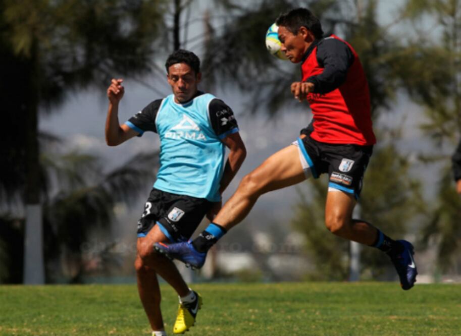 Gallos, a seguir por el mismo camino