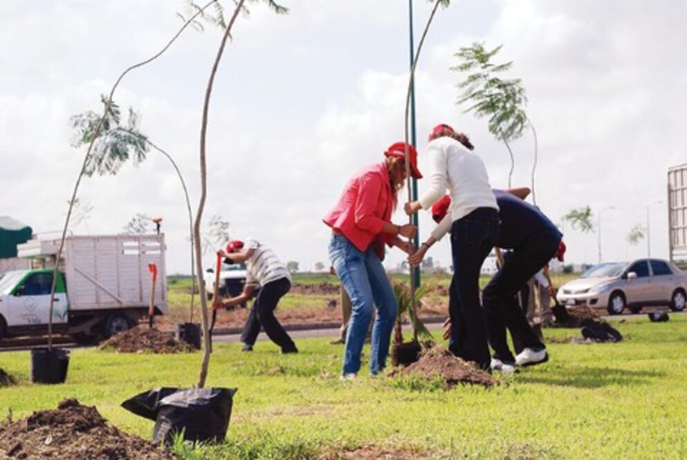 Dará Conafor 70% de fondos 