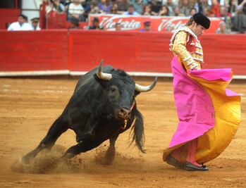 Ley de Protección Animal de Querétaro deja fuera a los toros y a los gallos 