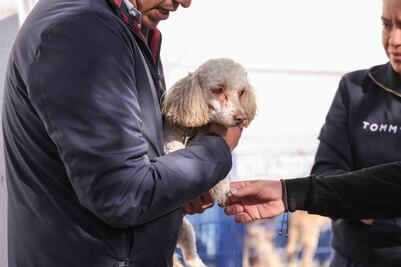 Sigue campaña de esterilización gratuita en Corregidora