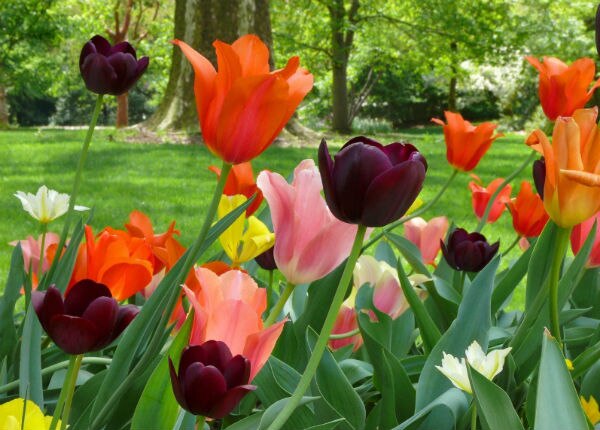 Empieza la primavera