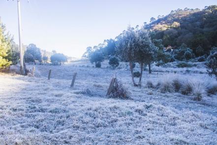 Por nieve y helada, el municipio de San Joaquín se pintó de blanco en Querétaro 