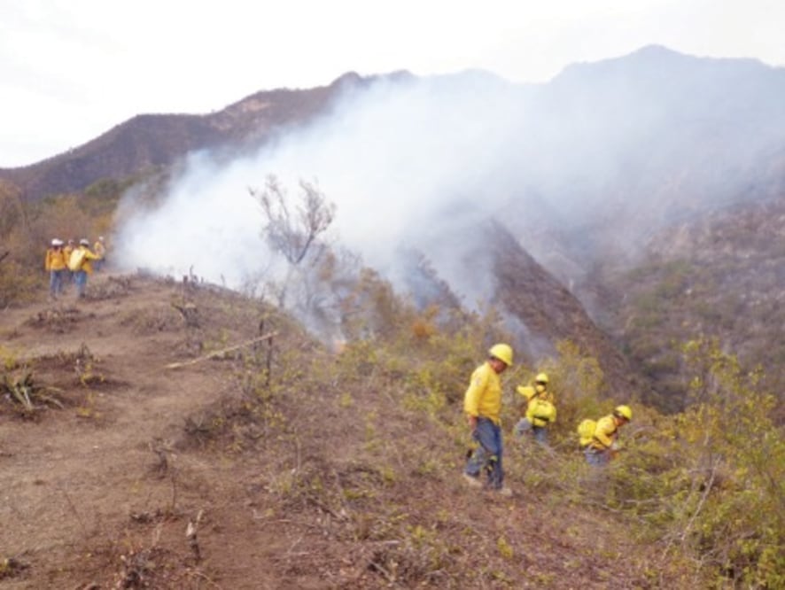  Controlan el incendio en San Joaquín 