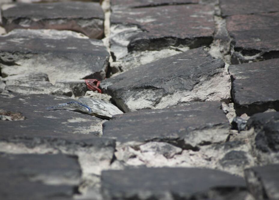 Gestionan 5 mdp para bacheo en SJR