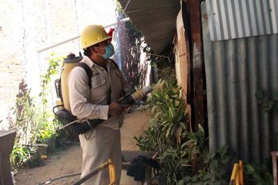 Se atienden 35 casos de dengue en el estado: Salud