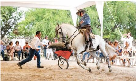 Develan "El valle de Bernal", de Jorge Carral