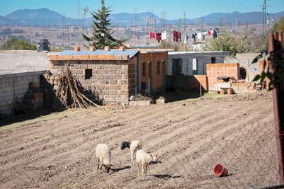 Servicios básicos con rezago