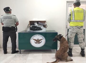 Decomisan 6.6 kilos de metanfetamina en una empresa de mensajería del aeropuerto de Querétaro