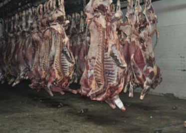 Vigila Salud rastros por clembuterol