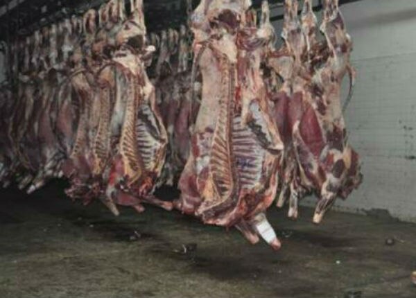 Vigila Salud rastros por clembuterol