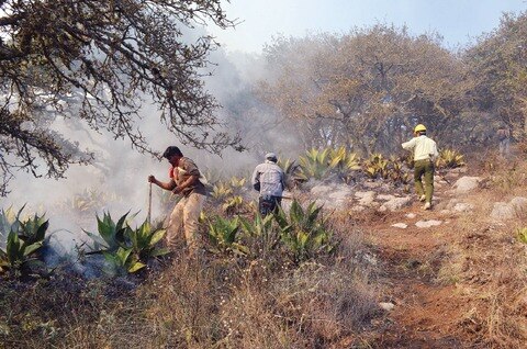 Controlan 80% del incendio en Pinal