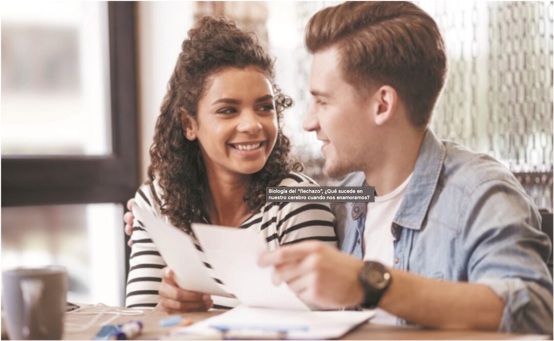 Biología del “flechazo”, ¿Qué sucede en nuestro cerebro cuando nos enamoramos?