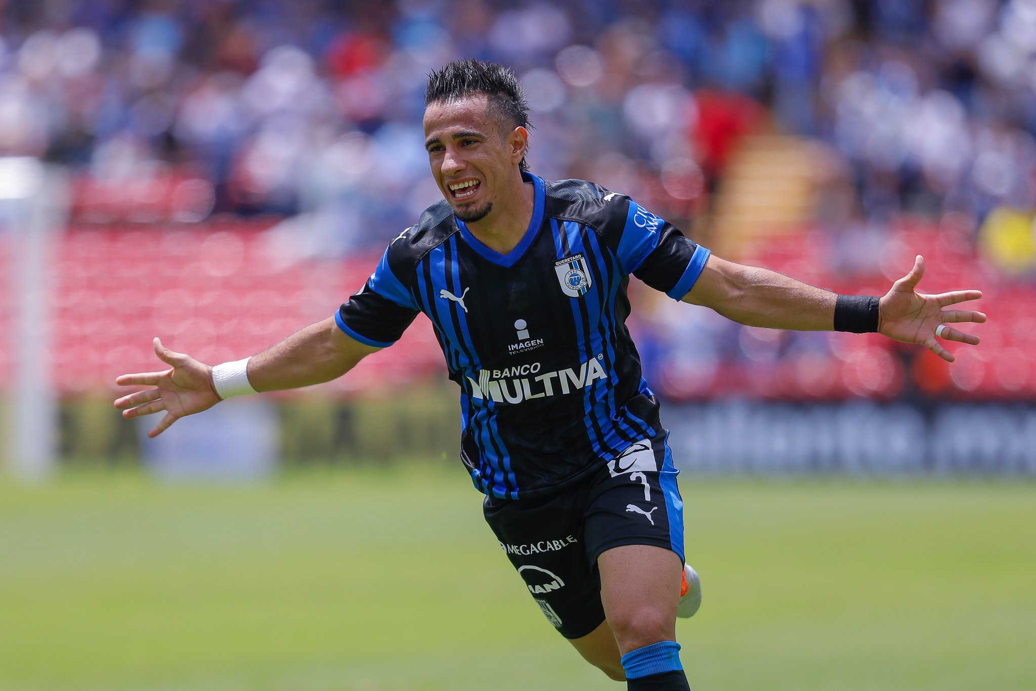 El Gallo canta en casa