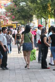 Tribunal de Bolivia prohíbe a su personal vestir minifaldas y escotes