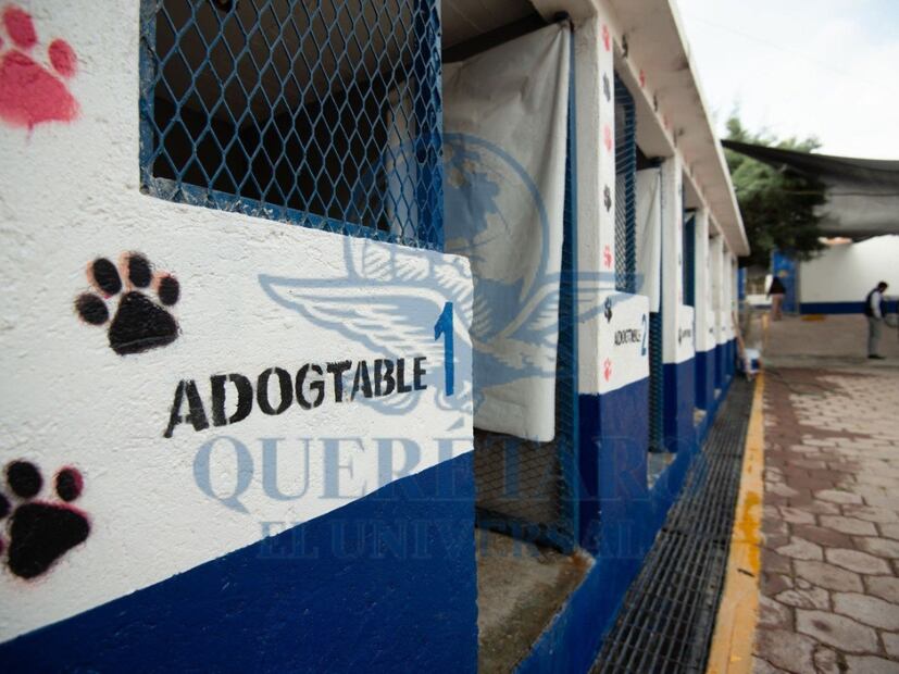 FOTO. FERNANDO CAMACHO