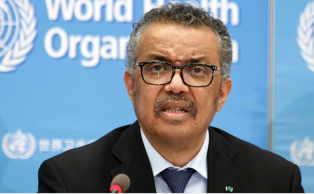 OMS afirma que "quizás nunca haya una solución" para el coronavirus