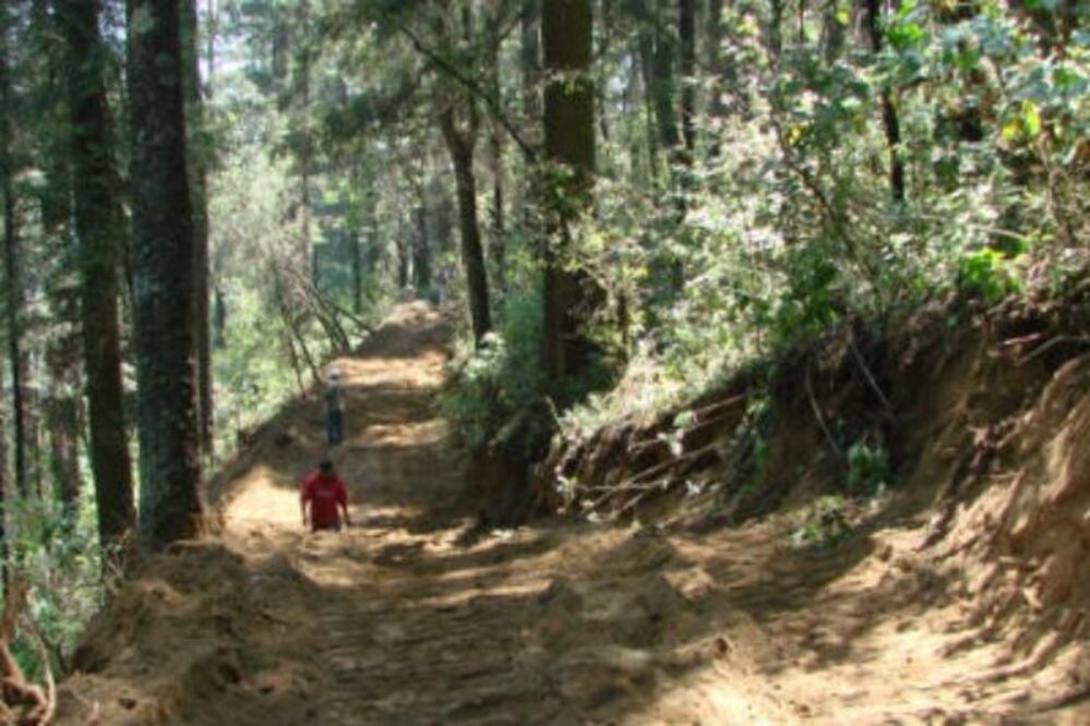 Ejercerá Pronafor 48 mdp en Querétaro