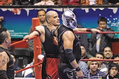 Apuestan la tapa y la melena en el ring