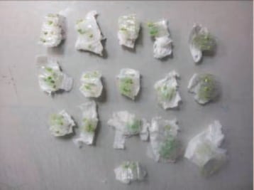 Decomisan 783 dosis de estupefacientes