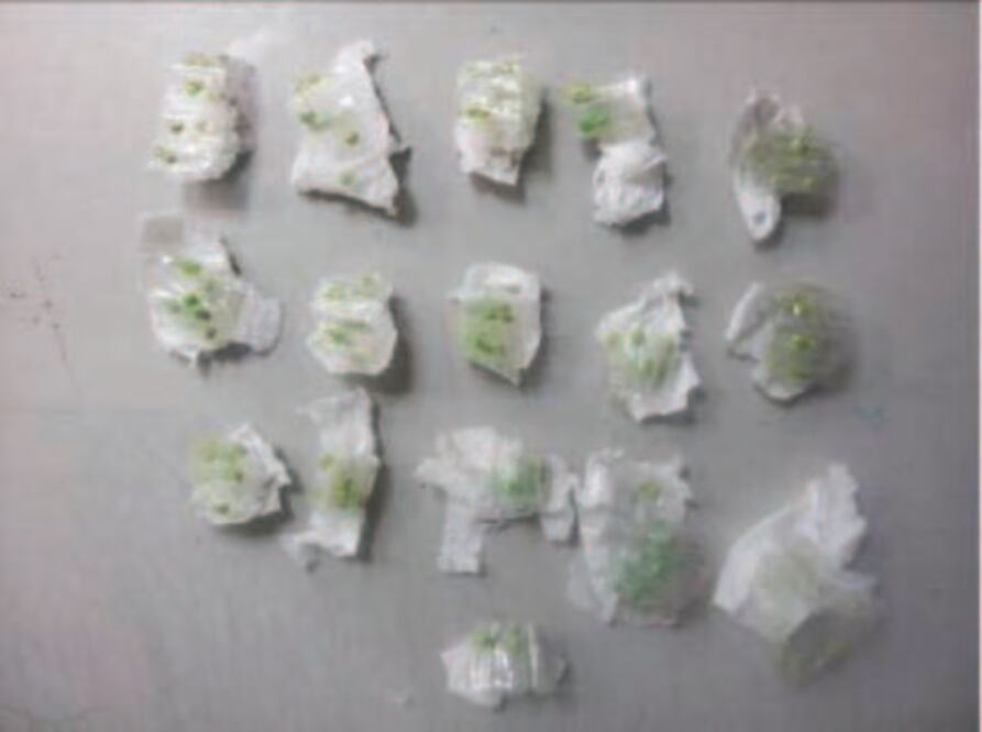 Decomisan 783 dosis de estupefacientes