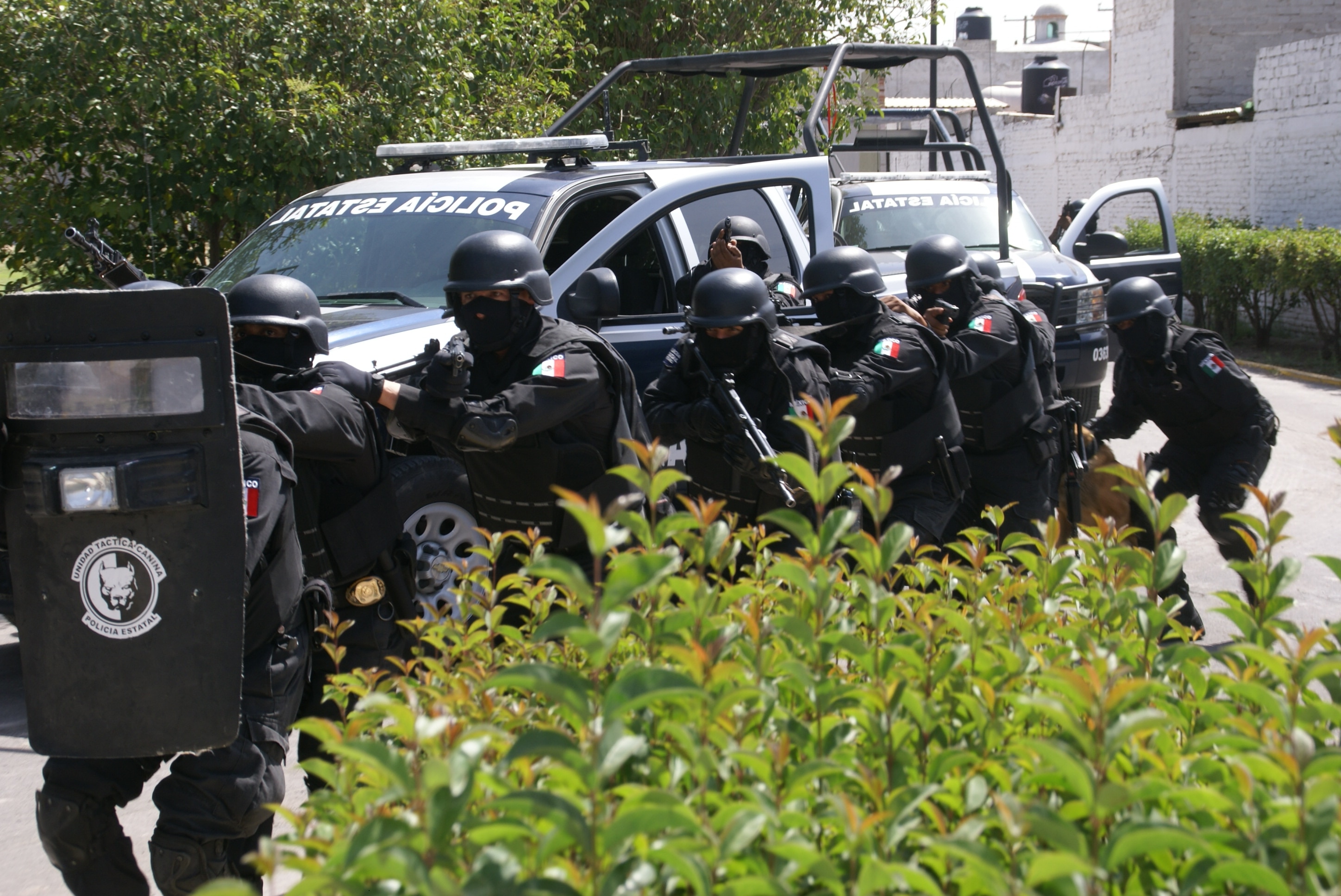 Apoya SSC operativos guanajuatenses