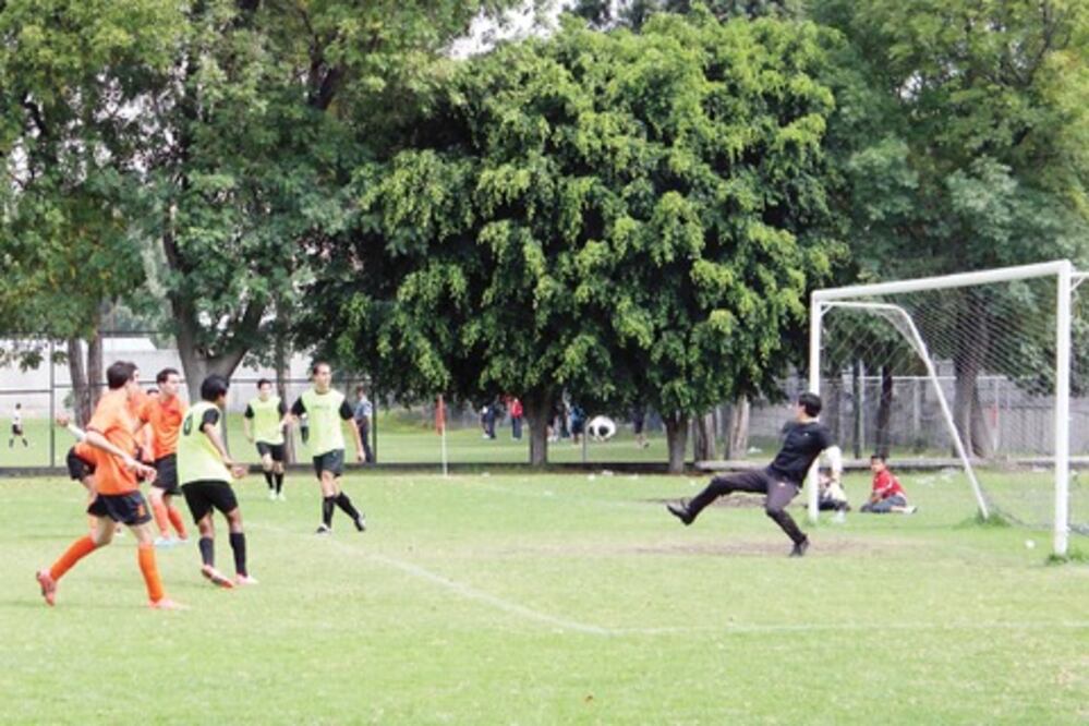 En busca de su campeón