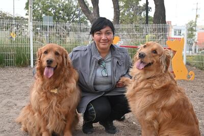 Parques deteriorados y con poca higiene para los perritos de Querétaro