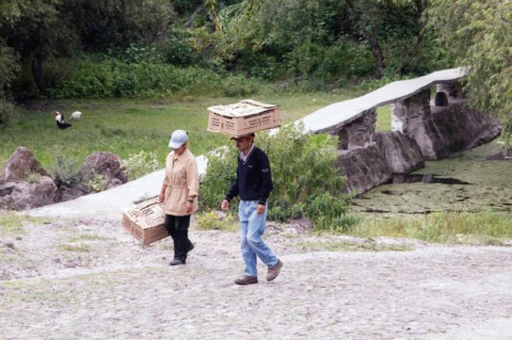Mejora seguridad en Cerro Gordo