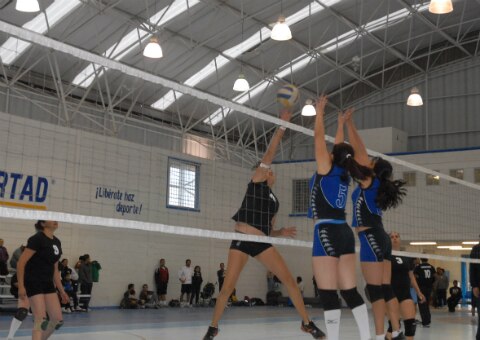 Lista la Liga Queretana de Volibol