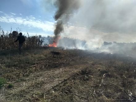 Mueren gobernadora de Puebla y su esposo Rafael Moreno Valle