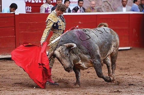 “El Payo” entra al quite