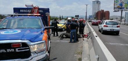Vehículos embisten a toro, en Querétaro