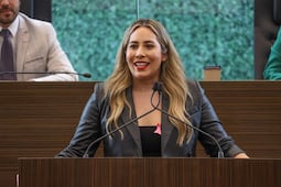 Andrea Tovar buscará coordinar  la bancada de Morena