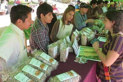 Se incuban 700 proyectos