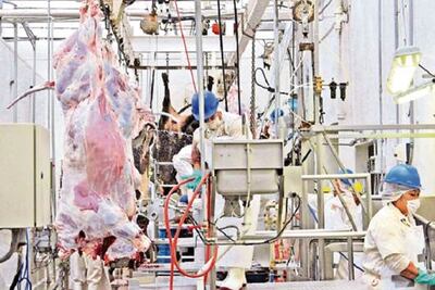 Reabrirán rastro en Corregidora