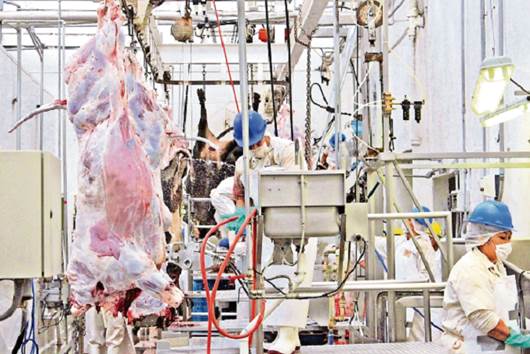 Reabrirán rastro en Corregidora