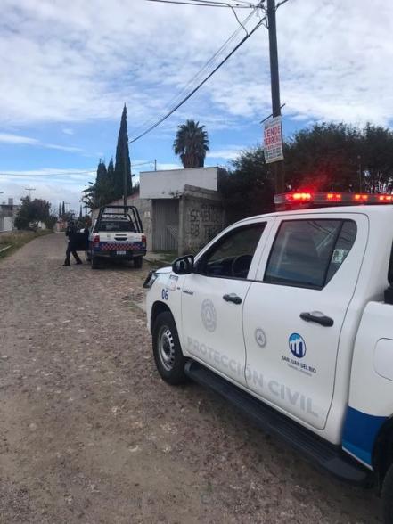 La presencia de un puma en la calle pone en alerta a San Juan del Río  