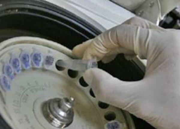 Construirán parque biotecnológico 