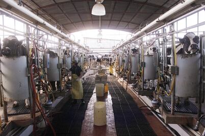 Sedea: campo enfrenta problemas  