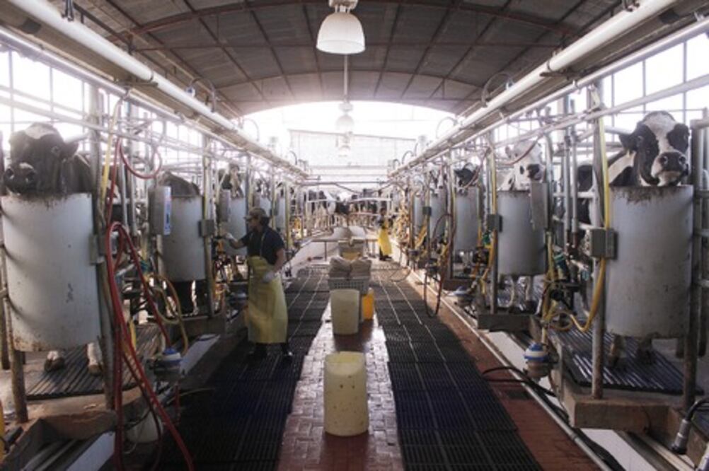 Sedea: campo enfrenta problemas  