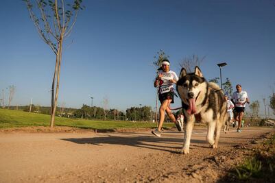 Parque La Queretana recibe a corredores y mascotas de la Carrera Canina P-Run