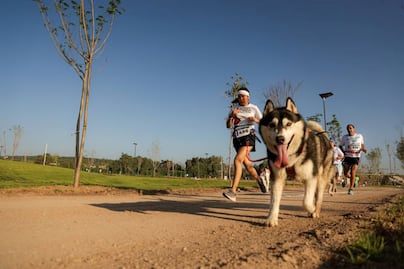 Parque La Queretana recibe a corredores y mascotas de la Carrera Canina P-Run