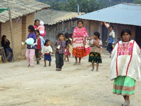 Proponen crear Secretaría 