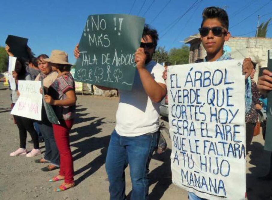 Sólo expertos deben ocupar cargos públicos: ambientalistas