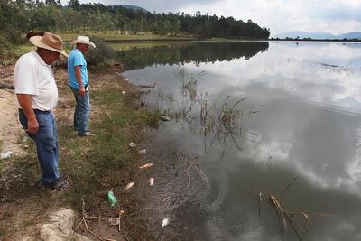 Limpiarán bordos luego de 11 años